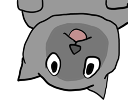 great force cat sticker #11262143