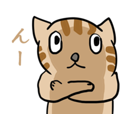 great force cat sticker #11262153