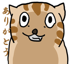 great force cat sticker #11262165