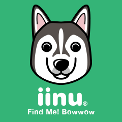 iinu - Alaskan Malamute