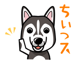 iinu - Alaskan Malamute sticker #11262333