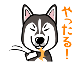 iinu - Alaskan Malamute sticker #11262338