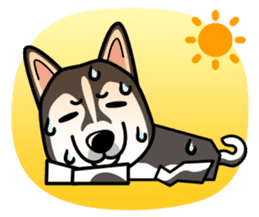 iinu - Alaskan Malamute sticker #11262341