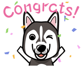 iinu - Alaskan Malamute sticker #11262343