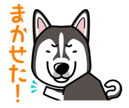 iinu - Alaskan Malamute sticker #11262347