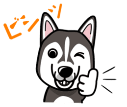 iinu - Alaskan Malamute sticker #11262350