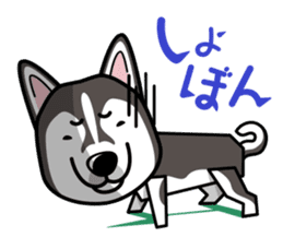 iinu - Alaskan Malamute sticker #11262351