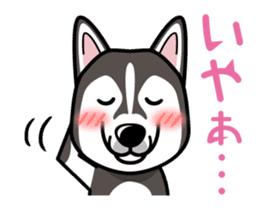 iinu - Alaskan Malamute sticker #11262362