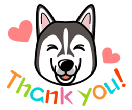 iinu - Alaskan Malamute sticker #11262363