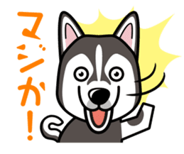 iinu - Alaskan Malamute sticker #11262365