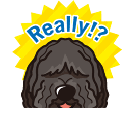 iinu - Puli sticker #11262413