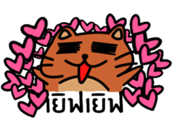 Coonni (Thai Version) sticker #11263187