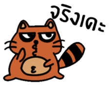 Coonni (Thai Version) sticker #11263192