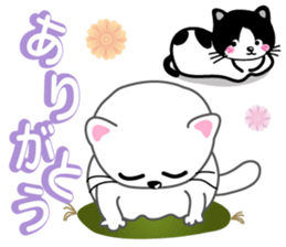 Cute cats ! sticker #11265463