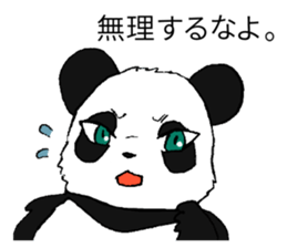 The Panda suddenly become handsome sticker #11268445