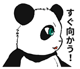 The Panda suddenly become handsome sticker #11268452