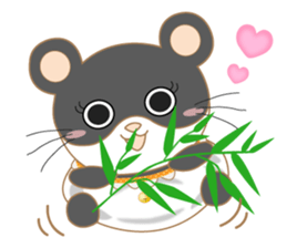 Panda cat sticker everyone can use sticker #11272004