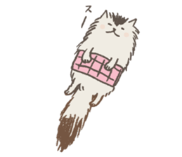 MOHIKAN  Cat sticker #11272498