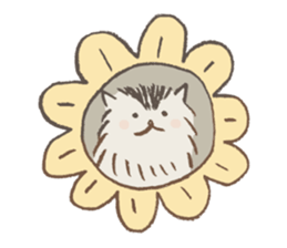 MOHIKAN  Cat sticker #11272502