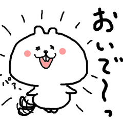 Miya-Squirrel