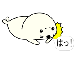 Young seal sticker #11277086