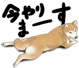 pups, the friends 2 sticker #11279224