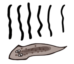 Just Planaria sticker #11280612