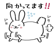 fat rabbit chan sticker #11281542