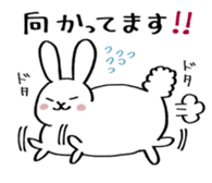 fat rabbit chan sticker #11281542