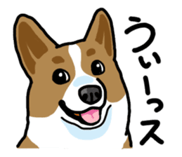 Wanko-Biyori Vol.5 Corgi sticker #11283513