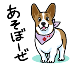 Wanko-Biyori Vol.5 Corgi sticker #11283514