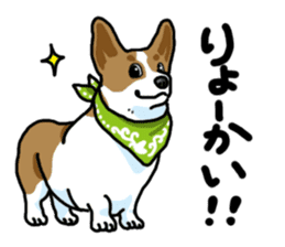 Wanko-Biyori Vol.5 Corgi sticker #11283515
