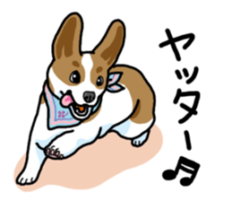 Wanko-Biyori Vol.5 Corgi sticker #11283517