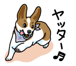 Wanko-Biyori Vol.5 Corgi sticker #11283517