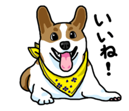 Wanko-Biyori Vol.5 Corgi sticker #11283521