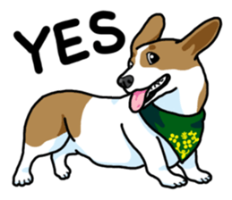 Wanko-Biyori Vol.5 Corgi sticker #11283523