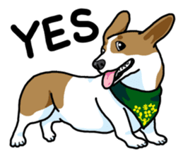 Wanko-Biyori Vol.5 Corgi sticker #11283523