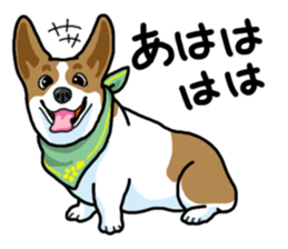 Wanko-Biyori Vol.5 Corgi sticker #11283524