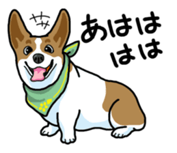 Wanko-Biyori Vol.5 Corgi sticker #11283524