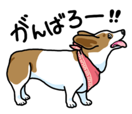 Wanko-Biyori Vol.5 Corgi sticker #11283527