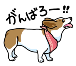 Wanko-Biyori Vol.5 Corgi sticker #11283527