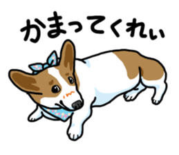 Wanko-Biyori Vol.5 Corgi sticker #11283529