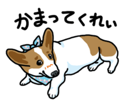 Wanko-Biyori Vol.5 Corgi sticker #11283529