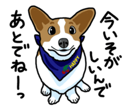 Wanko-Biyori Vol.5 Corgi sticker #11283532