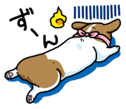 Wanko-Biyori Vol.5 Corgi sticker #11283534