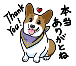 Wanko-Biyori Vol.5 Corgi sticker #11283537