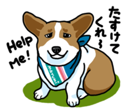 Wanko-Biyori Vol.5 Corgi sticker #11283538