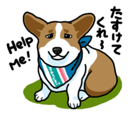 Wanko-Biyori Vol.5 Corgi sticker #11283538