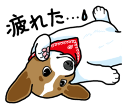 Wanko-Biyori Vol.5 Corgi sticker #11283541