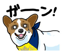 Wanko-Biyori Vol.5 Corgi sticker #11283542